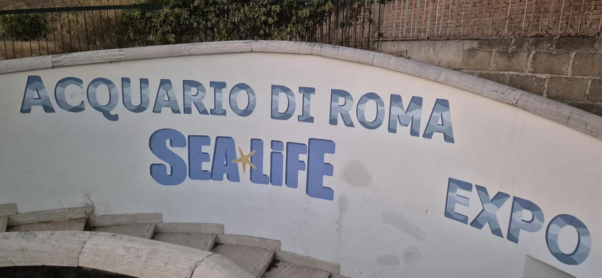 Eur Fenix Apartment Free Parking Family Roma Exterior foto